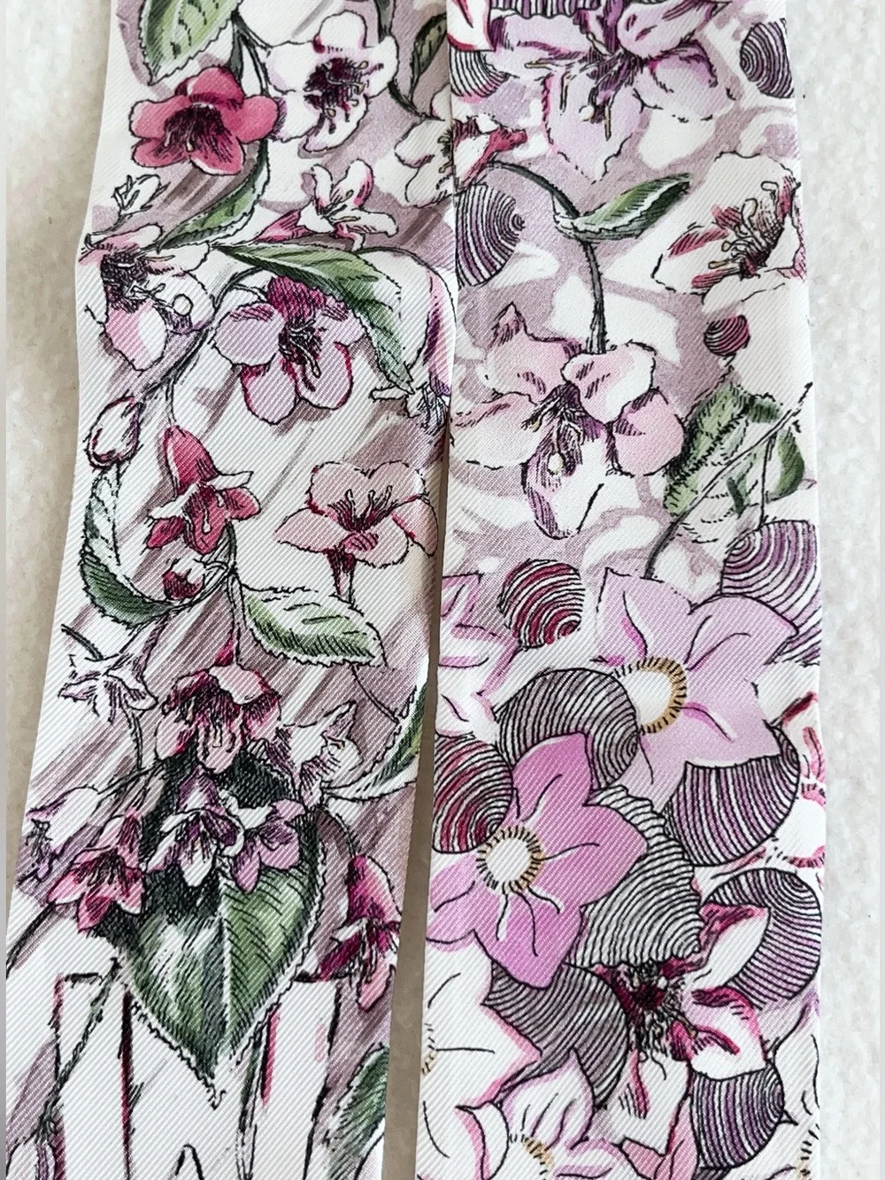 Dior Jardin D’hiver Mitzah Silk Scarf